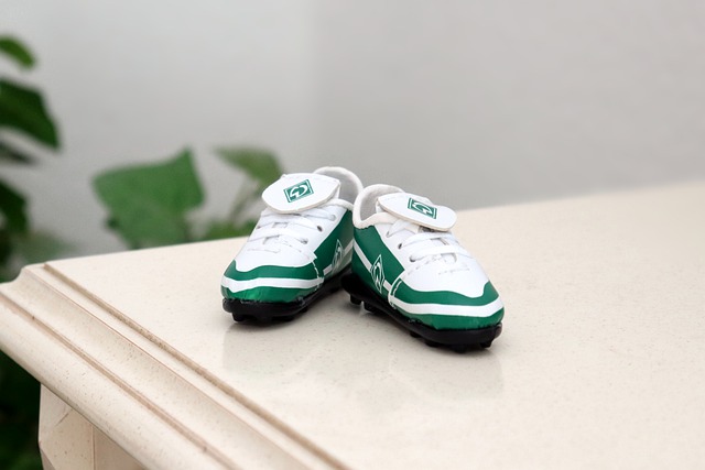 包容开放的 包容开放的