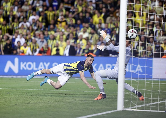 同時也加入 同時也加入