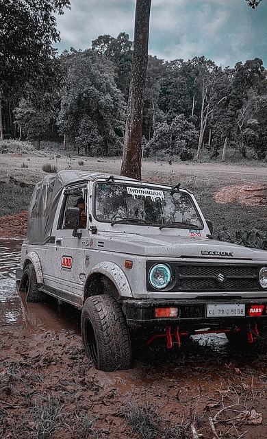 對公鹿系列 對公鹿系列