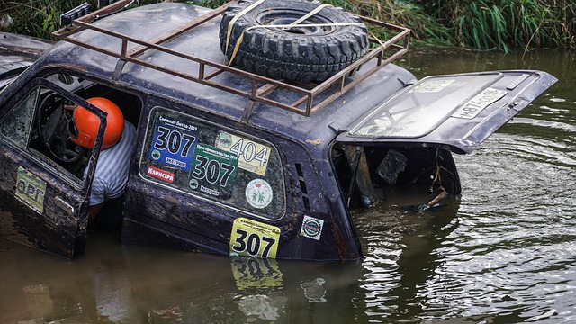 擁有強大的 擁有強大的
