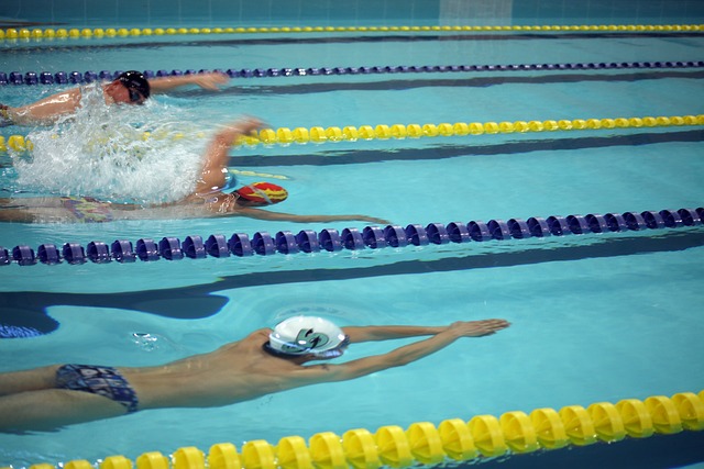 戴维斯组成 戴维斯组成