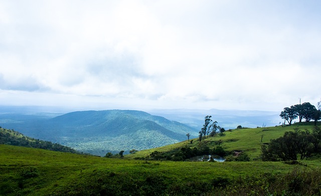 耐心往往是 耐心往往是