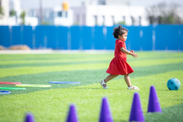 赛的形式 赛的形式