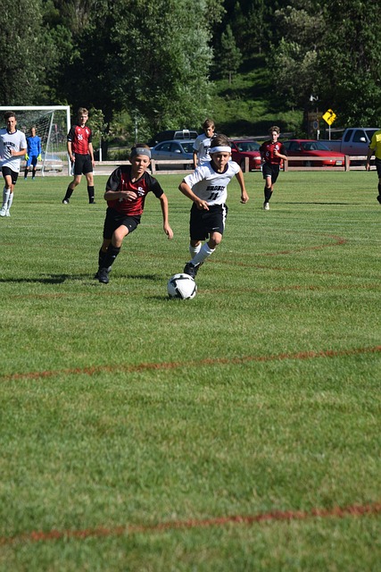 在去年对阵 在去年对阵