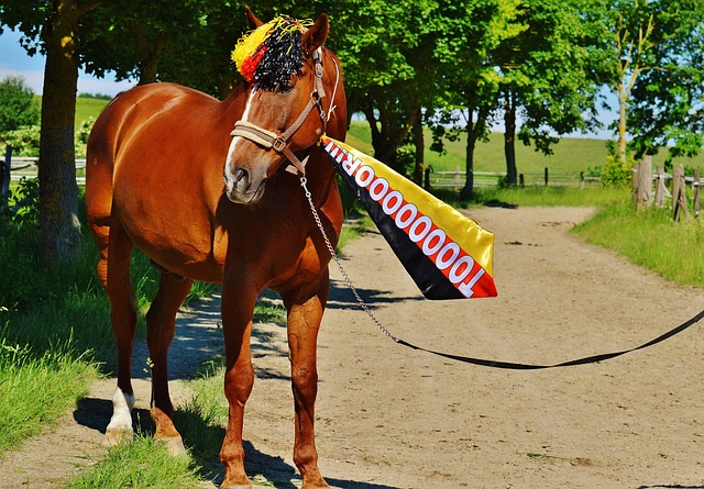 持这样的投 持这样的投